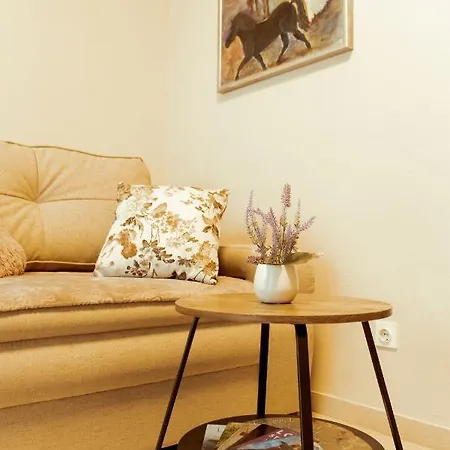 Apartment Rajevac