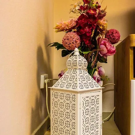 Apartamento Rajevac *