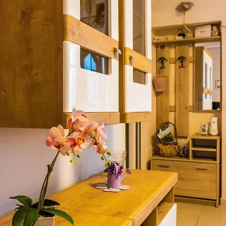 Apartment Rajevac